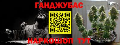 jwh Гатчина