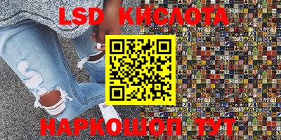 индика Рыбинск