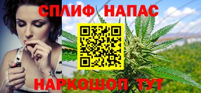 jwh Гатчина