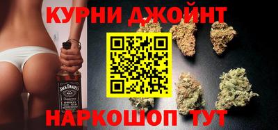 сатива Гагарин