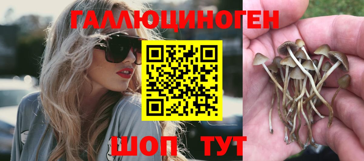 Галлюциногенные грибы GOLDEN TEACHER Нарткала